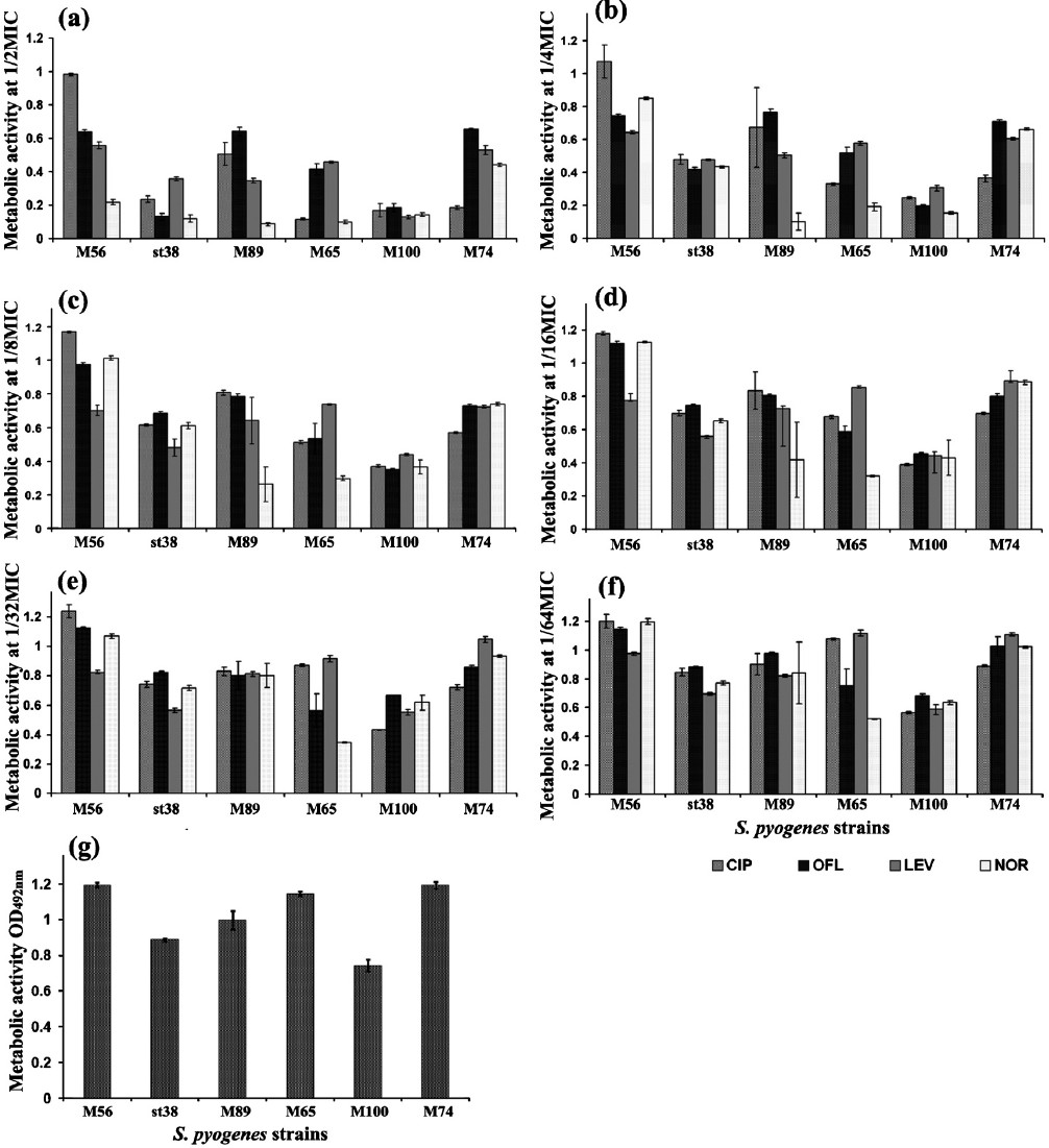 Metabolic activity of biofilms formed by S. pyogenes isolates at their subinhibitory concentrations (a) 1/2MIC, (b) 1/4MIC, (c) 1/8MIC, (d) 1/16MIC, (e) 1/32MIC, (f) 1/64MIC and (g) Control as quantified by XTT assay and measuring A492nm. Mean value of triplicate independent experiments and SDs are shown. Dunnett's test demonstrated significant difference between the tests and the control (P< 0.05).