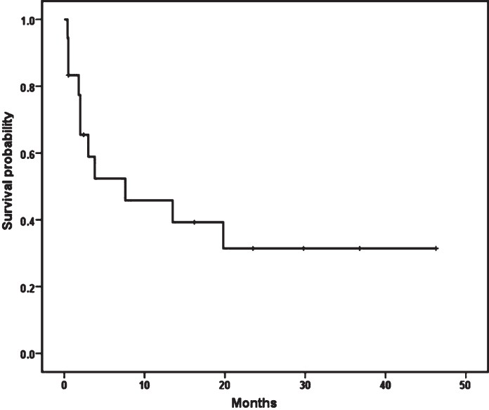 Survival probability of patients with PML estimated using the Kaplan-Meier method.