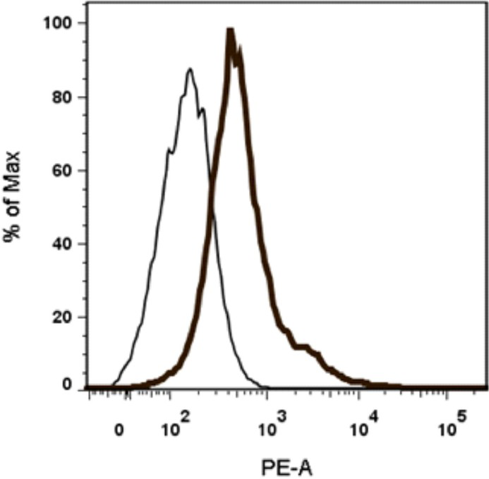 Expression of neuronal growth factor receptor (NGFR) in SK-N-SH cells. SK-N-SH cells were stained with anti-human NGFR antibody coupled to phycoerythrin (PE) along with isotype matched control. Thin and thick line histograms represent the cells stained with isotype matched control and NGFR-PE, respectively.