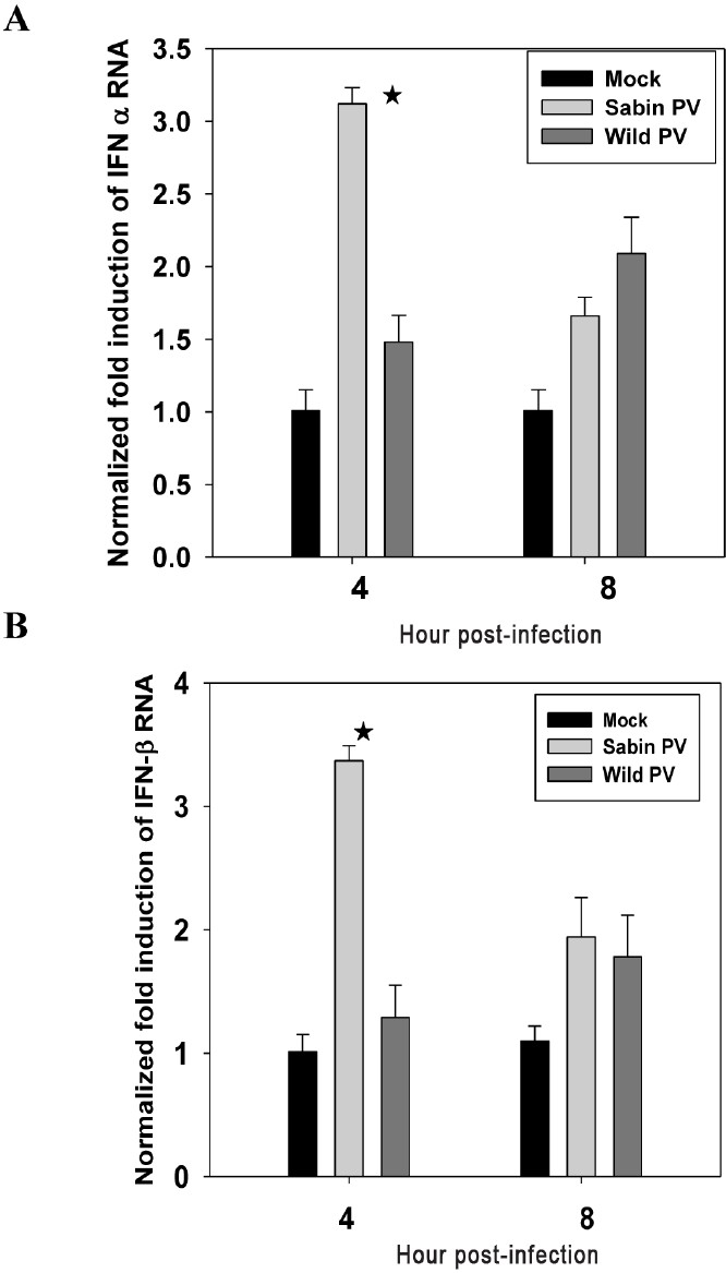 Induction of (A) IFNα and (B) IFNβ expression following wild PV and Sabin PV infection of neuronal cells at early stages of infection analyzed by real time PCR method. Data are presented as the fold induction of each gene of interest relative to uninfected control. Data are (mean ± SE) representative of three independent experiments. The asterisks indicate P<0.01 between expression by Sabin PV and wild PV at 4 hpi.