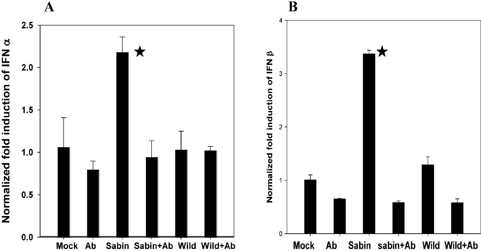 Effect of antibodies to TLR7 on IFN α/β expression by Sabin PV infected neuronal cells analyzed by real time PCR method. Data are presented as the fold induction of each gene of interest relative to uninfected control. Data are (mean ± SE) representative of three independent experiments. The asterisks indicate (A) P<0.01, (B) P<0.001 between expression by Sabin PV in cells with or without addition of antibody to TLR7 (Sabin PV only vs Sabin PV+ a-TLR7).