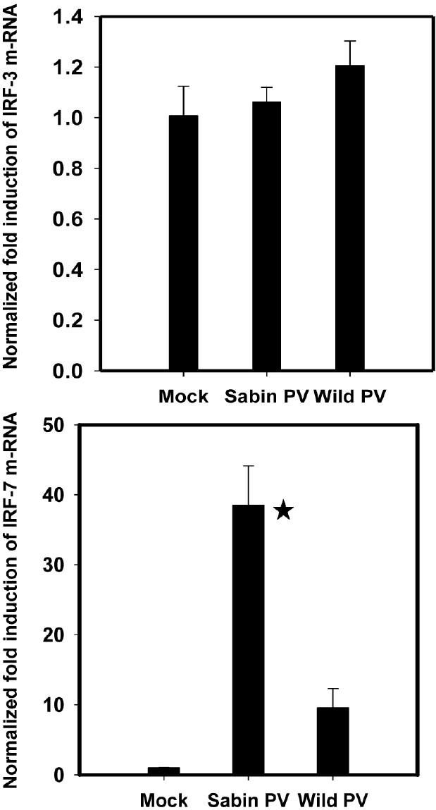 Expression of (A) IRF-3 and (B) IRF-7 responses following wild PV and Sabin PV infection of neuronal cells at early stages of infection. Values were calculated relative to expression of GAPDH controls. Data are presented as the fold induction of each gene of interest relative to uninfected control. *P<0.01 between expression by Sabin PV and wild PV at 4 hpi.
