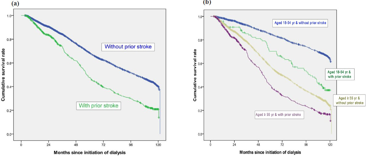 Crude overall Kaplan-Meier survival curves for incident end-stage renal disease haemodialysis patients stratified by history of stroke (a) (log-rank: P<0.001) and different age groups, (b) (log-rank: P<0.001).