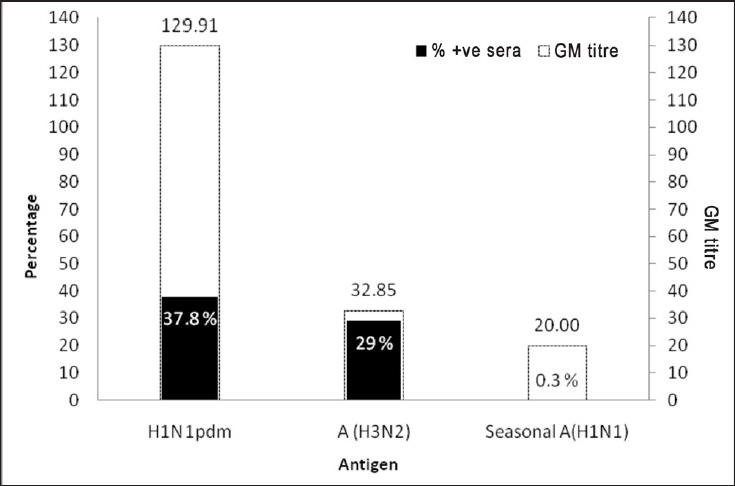 Percentages of positive serum samples and geometric mean titres of antibodies against pandemic influenza H1N1 (2009), influenza A (H3N2) and seasonal influenza (H1N1) viruses.
