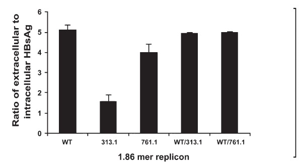 Co-transfection of wild type and mutants. The indicated plasmids were transfected or co-transfected into Huh7 cells and the ratio of extracellular to intracellular HBsAg was calculated at 72 h post-transfection. Values are mean ± SEM for 3 observations.