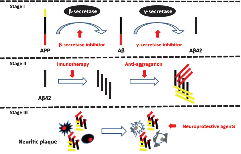 Stages of amyloid (Aβ) beta production with possible targets for treatment. Red arrows indicate possible interventional targets with respective agent.