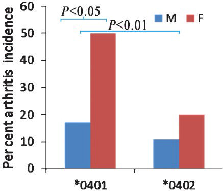 Incidence of collagen-induced arthritis in HLA transgenic mice. Transgenic mice expressing HLA-DRB1 *0401 and DRB1*0402 genes on endogenous class II knockout (AE-/-) background (*0401.AE-/- and *0402.AE-/-, respectively) were immunized with type II collagen and followed for onset and severity of arthritis. Incidence of arthritis in female DRB1*0401 mice was three times compared to males. DRB1*0402 mice are generally resistant to develop arthritis. P<0.05 DRB1*0401 male versus female, P<0.01 *0401 versus *0402 mice. Source: Ref. 64.