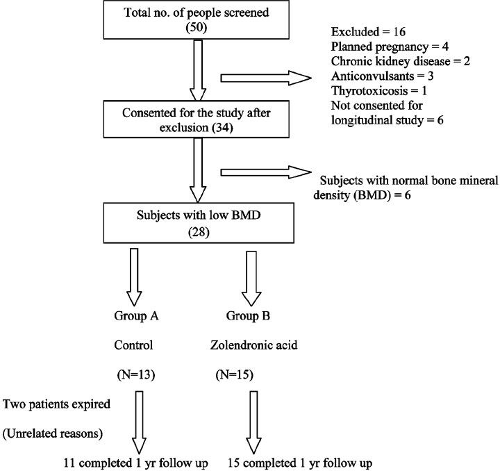 Flow chart of randomization of study subjects.