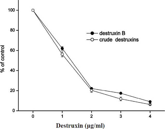 Inhibitory effect of different concentrations of crude destruxins on the production of HBsAg in HepG2.2.15 cells after 48 h of treatment. HepG2.2.15 cells were cultured and treated with various concentrations (0.0, 1.0, 2.0, 3.0, 4.0 μg/ml) of crude destruxins or destruxin B in serum-free DMEM medium for 48 h. The amount of HBsAg in culture medium was then determined by radioimmunoassay. Control cells produced 41.4 ng of HBsAg/ml/48 h. Data are expressed as mean ± SD (n=3).