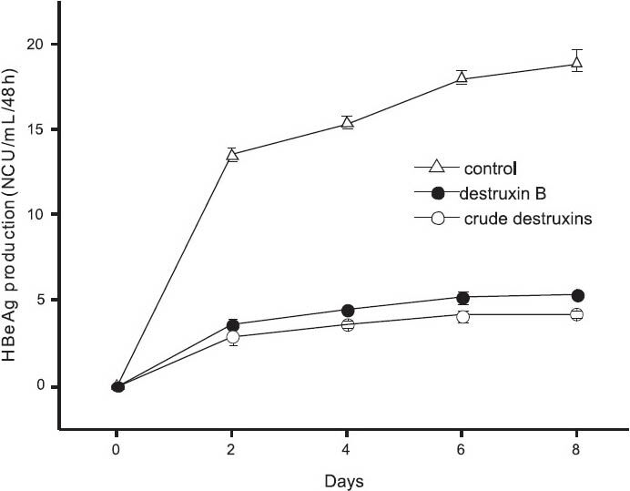 Inhibitory effect of 2.0 μg/ml of crude destruxins on the production of HBeAg in HepG2.2.15 cells after a different time of treatment. HepG2.2.15 cells were treated without or with 2.0 μg/ml of crude destruxins or 2.0 μg/ml of destruxin B and incubated for 2, 4, 6, 8 days. The medium with drug was changed every two days and the amount of HBeAg in culture medium was determined by radioimmunoassay. Date are expressed as mean ± SD (n=3). NCU, National clinical unit (China).