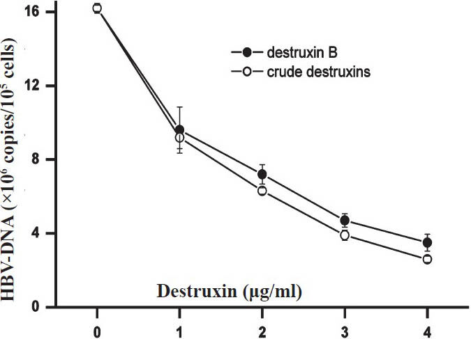 Inhibitory effect of different concentrations of crude destruxins on the replication of intracellular HBV-DNA from HepG2.2.15 cells after 48 h of treatment. HepG2.2.15 cells were cultured in the presence of crude destruxins or destruxin B at various concentrations (0.0, 1.0, 2.0, 3.0, 4.0 μg/ml) for 48 h and then the intracellular HBV DNA from HepG2.2.15 cells were extracted and quantified by real-time quantitative PCR. Data are expressed as mean ± SD (n=3).
