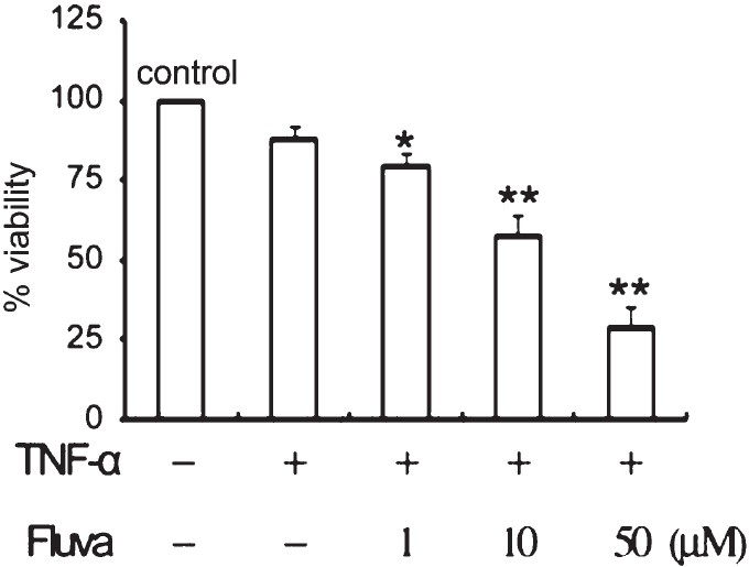 Reduction of cell viability by fluvastatin. TNFα-stimulated SW982 synovial cells were incubated with or without 0-50 μM fluvastatin for 24 h. Cell viability was determined by MTT assay. Data were obtained from duplicate experiments using three different samples. *P<0.05, **P<0.01 compared to control (medium only).