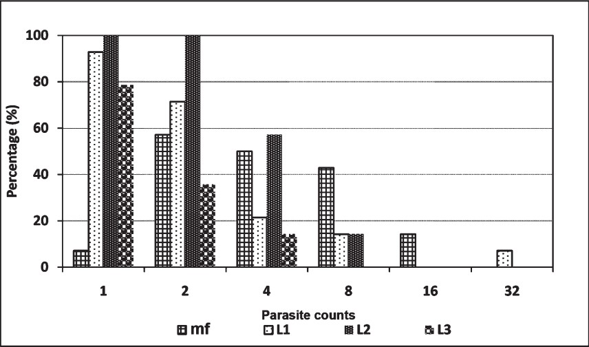 Distribution patterns of mf, L1, L2 and L3 in Do. nivea.