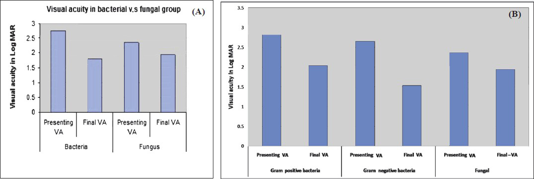 Comparison of presenting visual acuity and final visual acuity between (A) patients with bacterial (n=32), fungal (n=12), (B) Gram-negative (n=19) and Gram-positive (n=13) bacterial endophthalmitis.