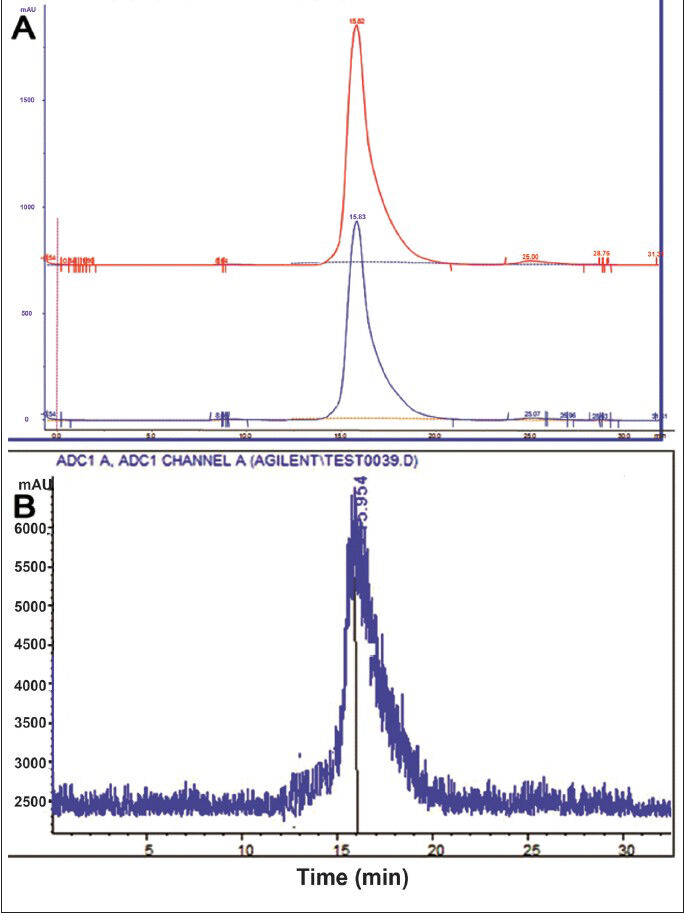 HPLC UV profile of DOTA-SCN-Rituximab (BioSim) immunoconjugate showed the peak at 15-16 min (A). The radiolabelled immunoconjugate peak also corresponded at the same time (B).