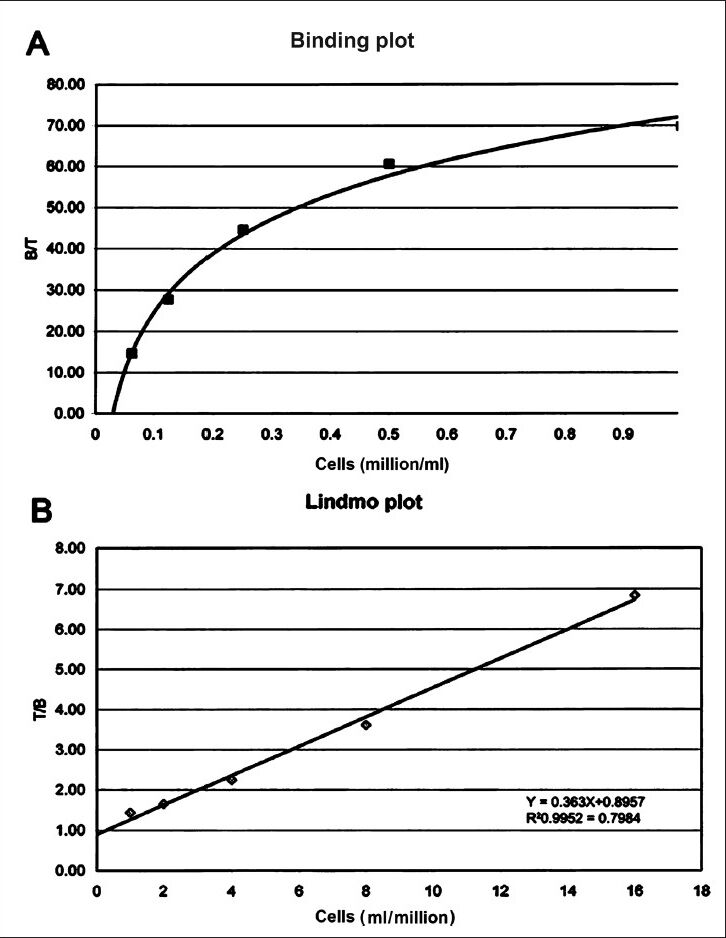 Binding plot (A) of the ratio of specifically bound radiolabelled antibody to the total applied radioactivity (B/T) as a function of cell concentration (X-axis). The cell concentration is expressed as cells (million/ml). Lindmo plot (B) showing total/bound activity as a function of inverse of cell concentration expressed as 1/cells (ml/million).