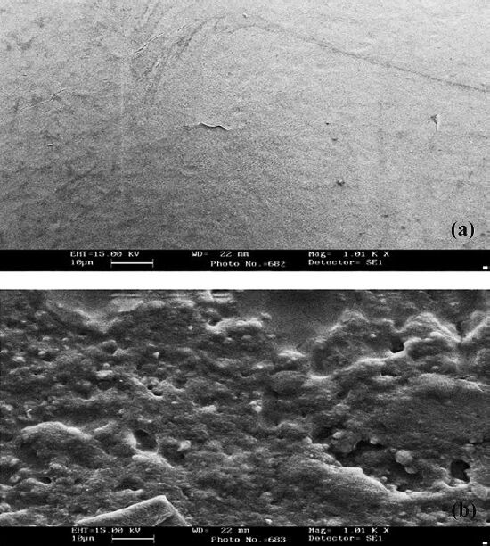 Scanning electron micrographs of chemically modified plasticized PVC surface without (a) and with (b) immobilized enzymes (lipase, GK, GPO and HRP).