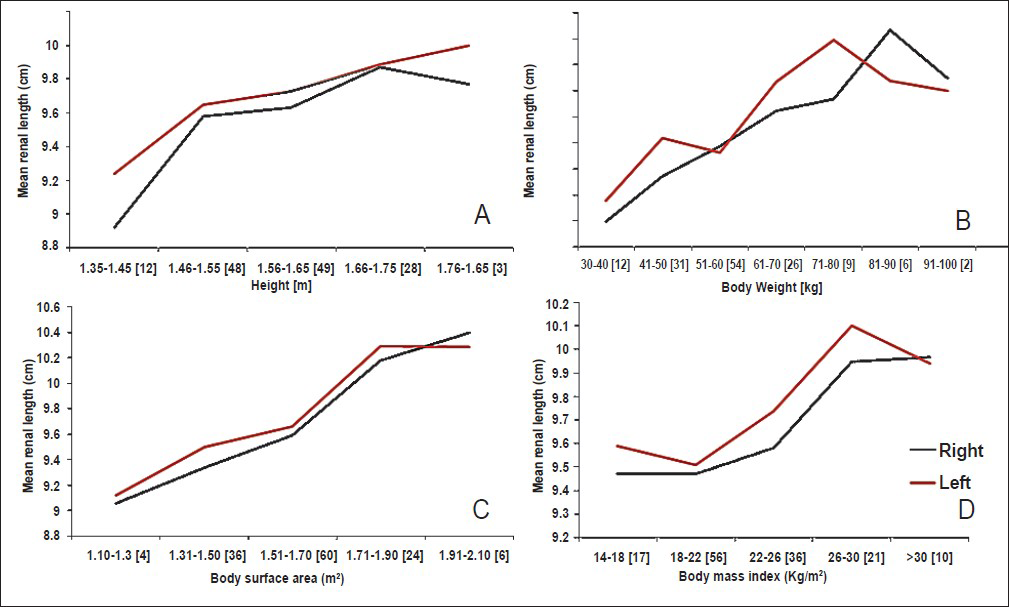 Graphs representing the relationship of mean renal lengths without SD, plotted against various anthropometric parameters, namely, body height (A), body weight (B), body surface area (C), and body mass index (D). Numbers within parenthesis represent number of subjects in each subgroup.