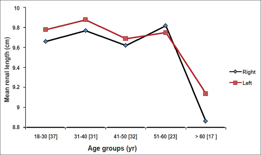 Graph showing mean renal lengths, without SD, for various age-groups. Numbers within parenthesis represent number of subjects in each age-group.