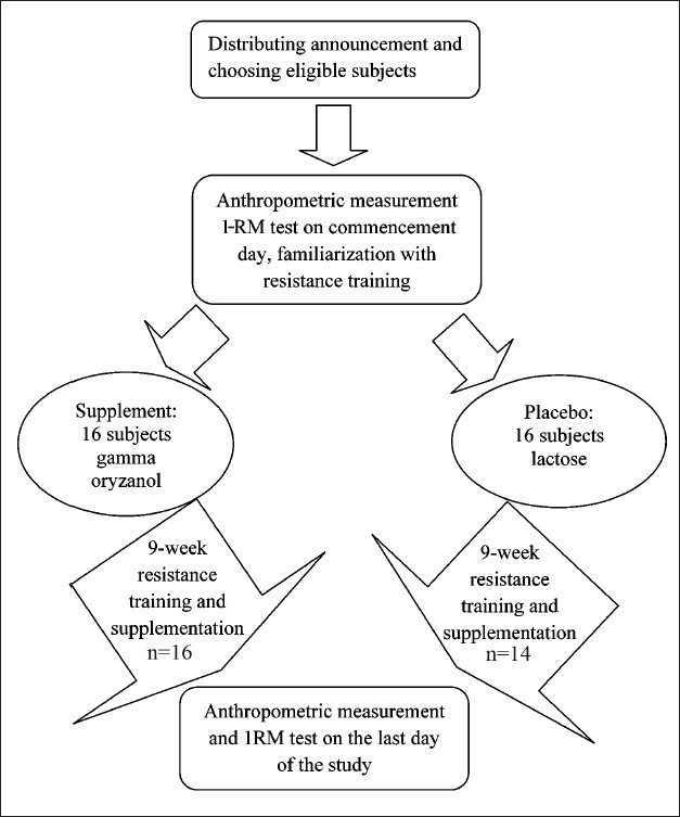 Flow chart showing the study design. I-RM, 1-repetition maximum.