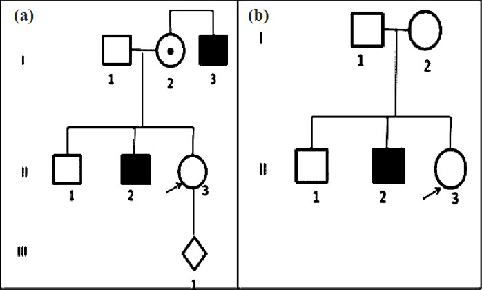 Prevention of haemophilia. (a) Prenatal diagnosis is offered to women who are obligate carriers (arrow), having one or more sons with haemophila, or whose father has haemophilia, or who has one or more relative with haemophilia. (b) Carrier detection is offered to possible carriers (arrow), who are daughters of carriers, mothers with one son with haemophilia but no other affected relative, or female relatives of carriers.