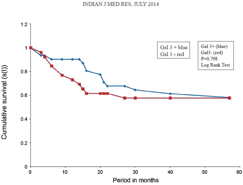 Survival curve of Kaplan-Meyer. The prognosis became similar between the positive gal-3 group and the negative gal-3 group at the end.