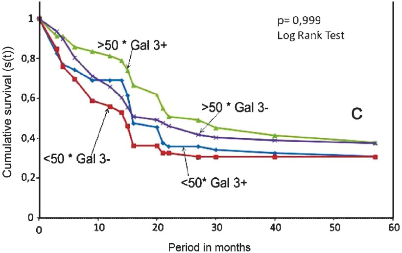Survival curve of Kaplan-Meier. Considering the age the prognosis was worse in the negative gal-3 group than the positive galectin-3 group.