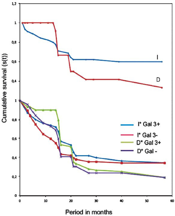 Survival curve of Kaplan-Meier. Considering the Lauren's classification the prognosis was worse in diffuse (D) tumours than in intestinal (I) tumours group.