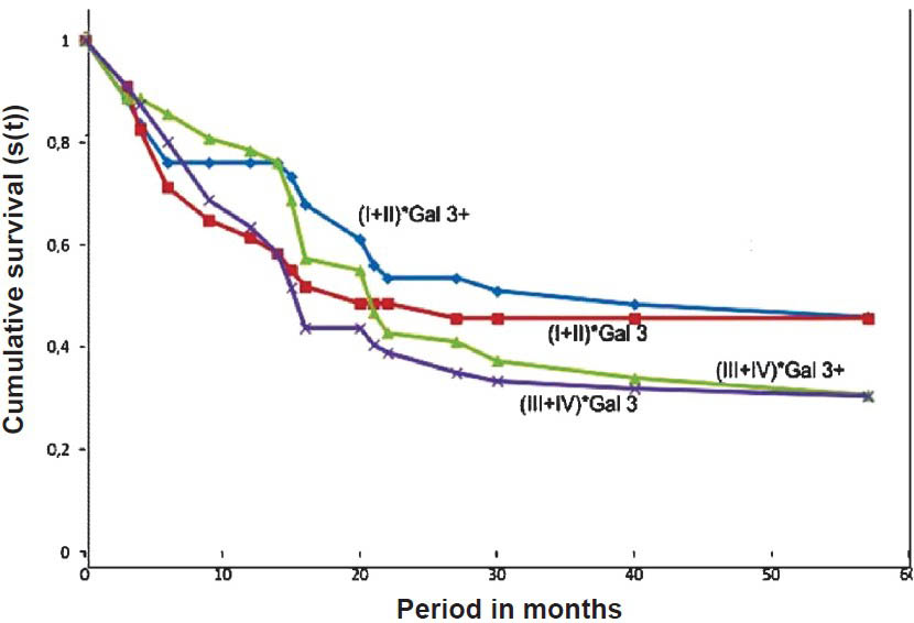 Survival curve of Kaplan-Meier. Considering stages (I+II) and (III+IV) positive gal-3 group had best prognosis compared with the negative gal-3 group.