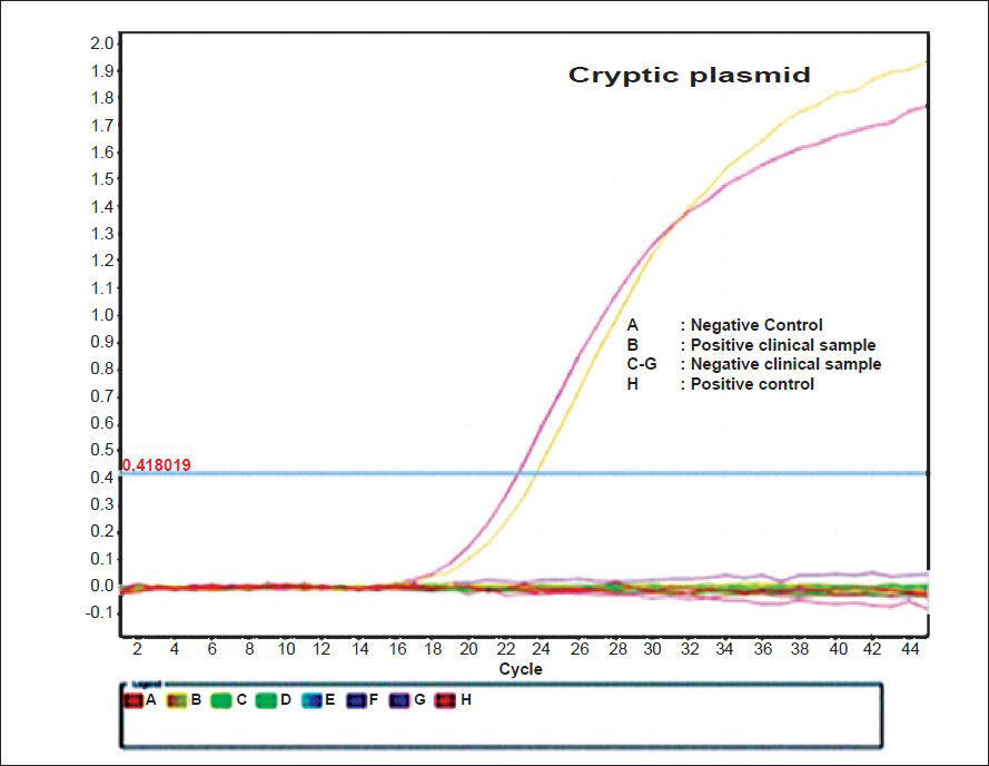 TaqMan real time-PCR amplification plot (ΔRn vs Cycle) targetting cryptic plasmid.