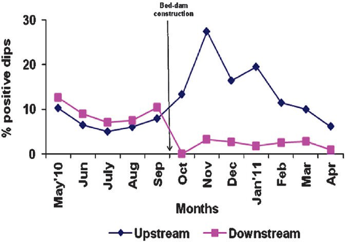 Proportion (%) of dipper samples (dips) found positive for Anopheles immature (larvae and/or pupae) in experimental up and down stream.