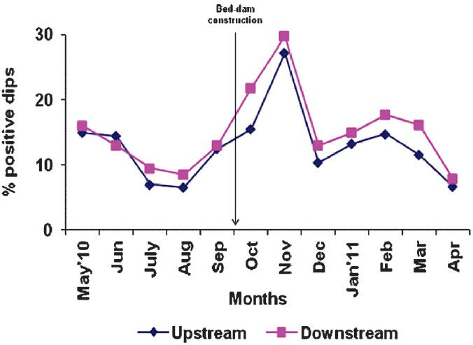 Proportion (%) of dipper samples (dips) found positive for Anopheles immature (larvae and/or pupae) in control up and down stream.