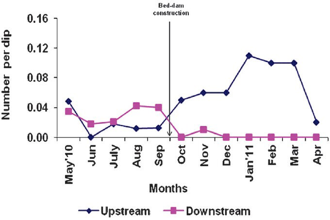 Density (number per dip) of An. fluviatilis immature (larvae and/or pupae) in experimental up and down stream.