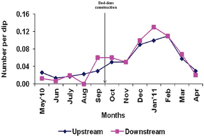 Density (number per dip) of An. fluviatilis immature (larvae and/or pupae) in control up and down stream.