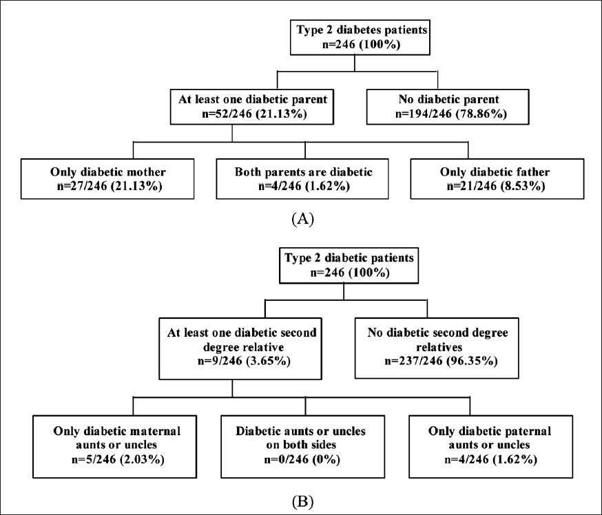 Flow charts showing the frequency of diabetes in relatives. Data are number (percentage in parenthesis) of probands having (A) parents with diabetes and (B) second degree relatives with diabetes.
