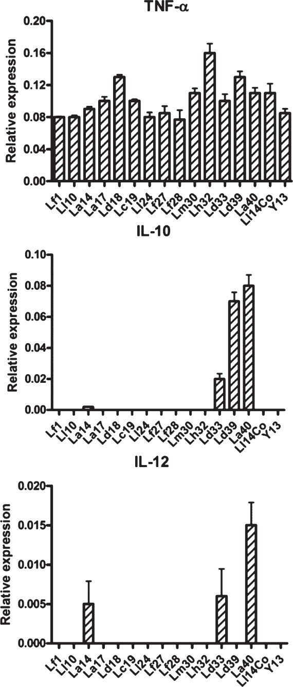 Messenger RNA expression of cytokines in THP-1 cells exposed to the various lactic acid bacilli (LAB). The values are shown as mean±SE (n=3) expression relative to that of beta-actin.