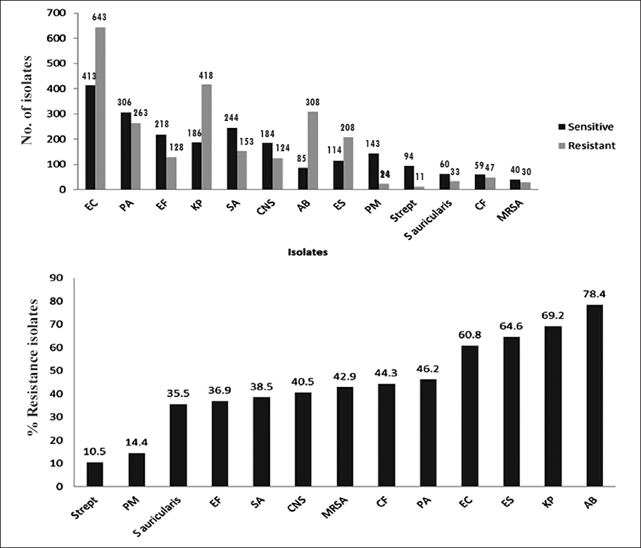 Most predominant multi drug resistant bacteria (MDRBs) isolated from lower limb wound of patients with diabetes and their antimicrobial resistance. EC, Escherichia coli; PA, Pseudomonas aeruginosa; EF, Enterococcus faecalis; KP, Klebsiella pneumoniae; SA, Staphylococcus aureus; CNS, coagulase negative staphylococci; AB, Acinobacter baumanii; ES, Enterobacter sp; PM, Proteus mirabilis; Strept, Streptococcus sp; CF, Citrobacter freundii; mRSA, methicillin resistant Staphylococcus aureus.