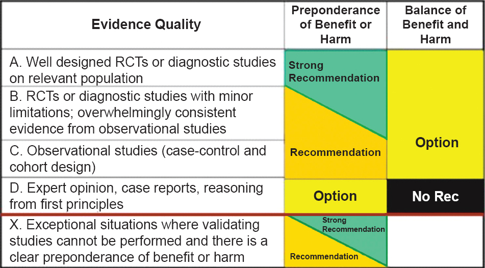 Evidence quality. Reproduced with permission from: American Academy of Pediatrics Steering Committee on Quality Improvement and Management. Classifying recommendations for clinical practice guidelines.Pediatrics 2004; 114: 874-71.