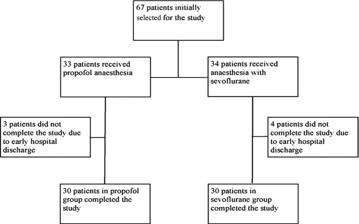 Flow chart showing the study design.