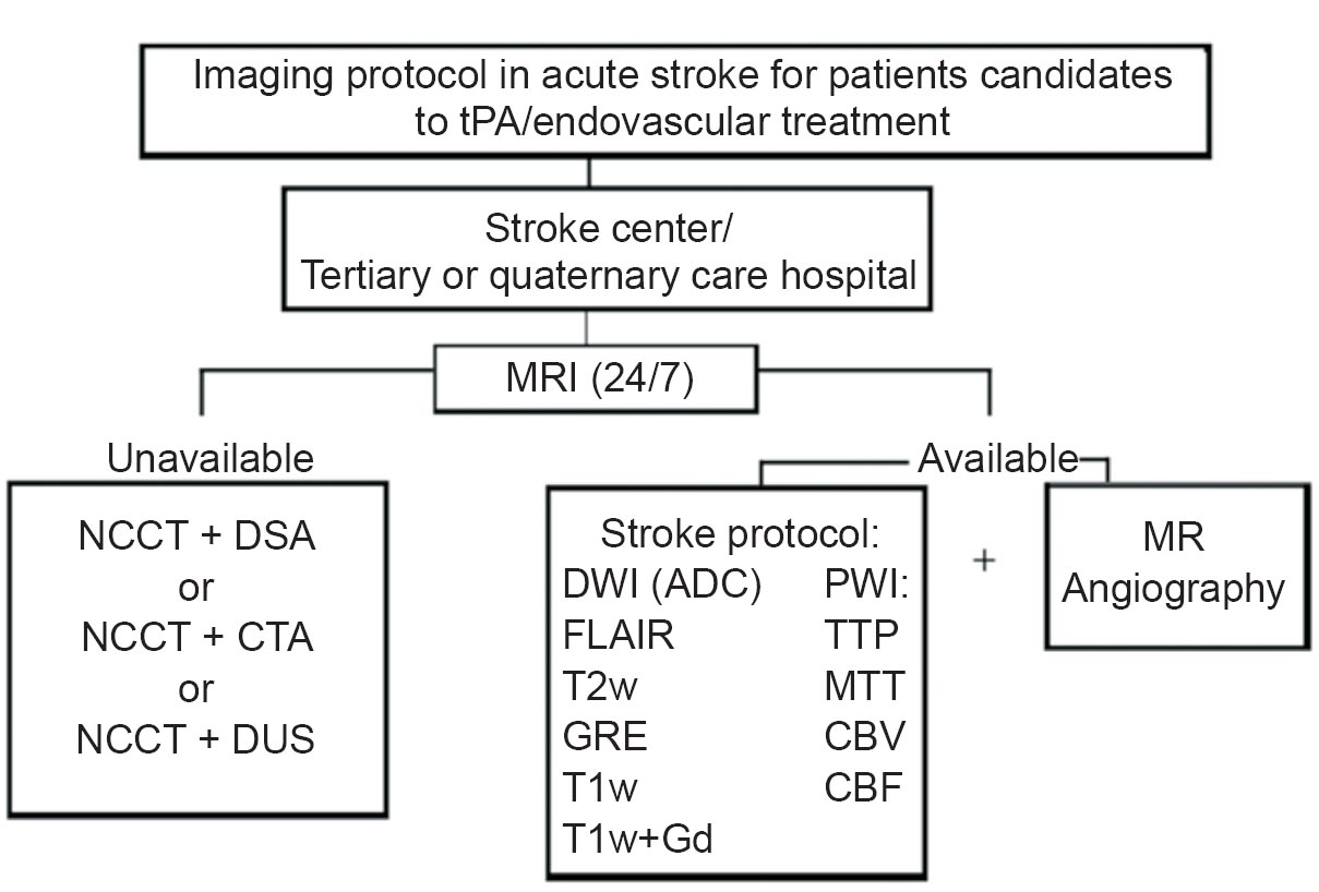 Imaging strategies in brain ischaemia based on the availability of CT and/or MRI.tPA, tissue plasminogen activator; NCCT, non-contrast computed tomography; DSA, digital subtraction angiography; CTA, computed tomography angiography; DUS, Doppler ultrasound; TTP, time to peak; MTT, mean transit time; CBV, cerebral blood volume; CBF, cerebral blood flow; T1W, T1 weighted imaging; GRE, gradient ecoimaging; PWI, perfusion weighted imaging; FLAIR, fluid-attenuated imaging recovery.
