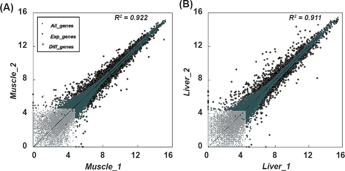 Differential expression analysis in two comparison pairs. The scatter plot shows the gene expression level of DEGs against the background of all 22,226 transcripts for the diabetic (x-axis) and the control group (y-axis) from skeletal muscle (A) and liver (B).