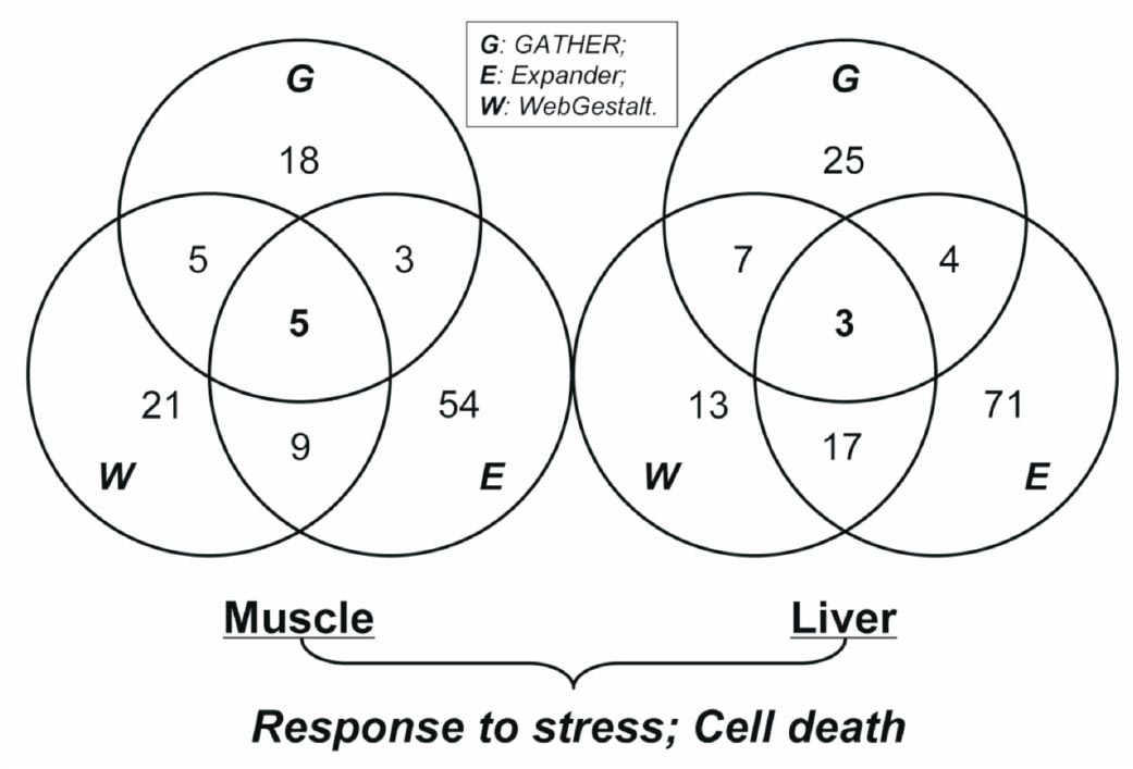 Summary of DEGs enrichment analyses based on gene categories from GO biological process. For a particular comparison pair, the counts of over-represented DEGs category among three tools (GATHER, Expander, WebGestalt) are listed. The numbers in the circles indicate the existence of categories detected by at least one tool. The numbers in the intersection regions are those of enrichment categories shared across the tools. The consistent categories (cell death and response to stress) common in both two comparison pairs are presented below.