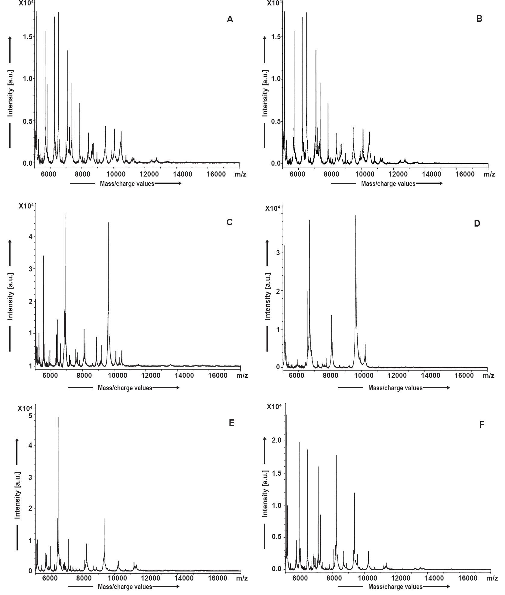 MALDI-TOF MS mass spectra of Stenotrophomonas maltophilia (A), Delftia acidovorans (B), Staphylococcus aureus (C), Staphylococcus epidermidis (D), Neisseria meningitidis (E), Neisseria gonorrhoeae (F).