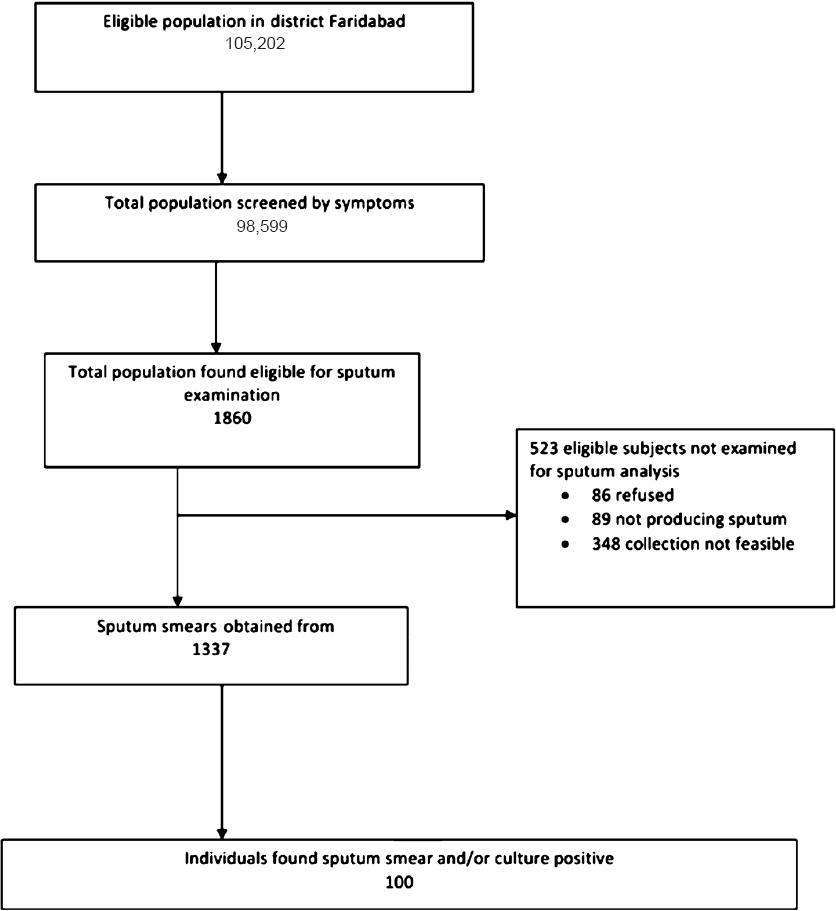 Flowchart depicting the study design.