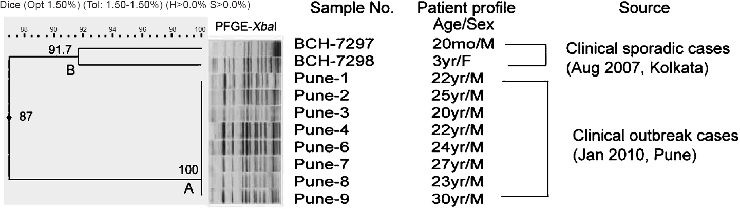 Pulsed field gel electrophoresis (PFGE) profiles of XbaI digest of DNA of S. Weltevreden Pune outbreak isolates, 2010 by cluster analysis and comparison with S. Weltevreden Kolkata sporadic isolates. Band comparison was performed using Dice coefficient with 1.50 per cent optimization (Opt) and 1.50 per cent position tolerance (Tol). H, minimum height; S, minimum surface; mo, months; M, male; F, female.