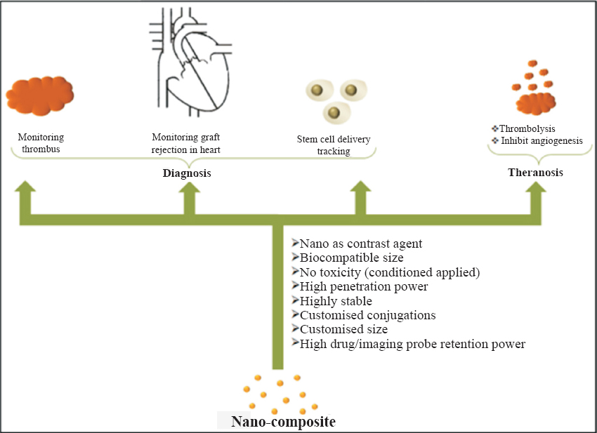 Schematic representation of potential Nano-mediated cardiovascular imaging in diagnosis and therapy (e.g. identification of thrombus, monitoring graft rejection, stem cell tracking, and identification of angiogenesis, etc.)