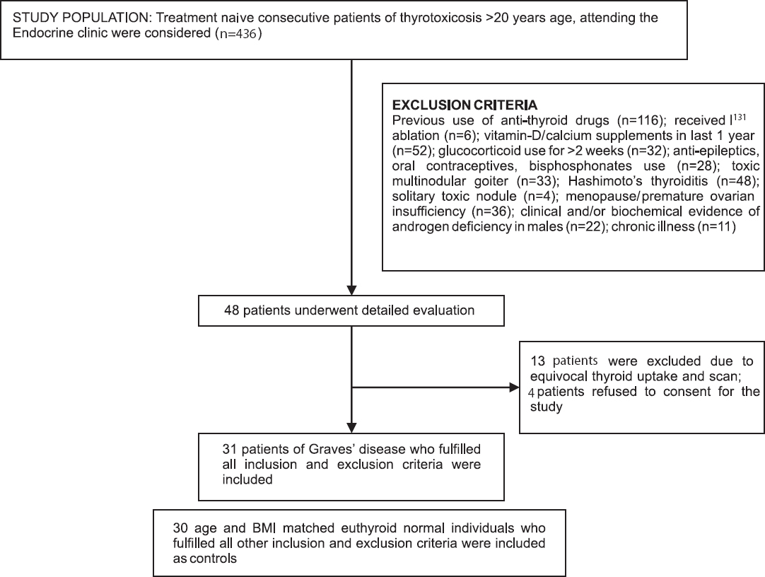 Flowchart elaborating the study design.