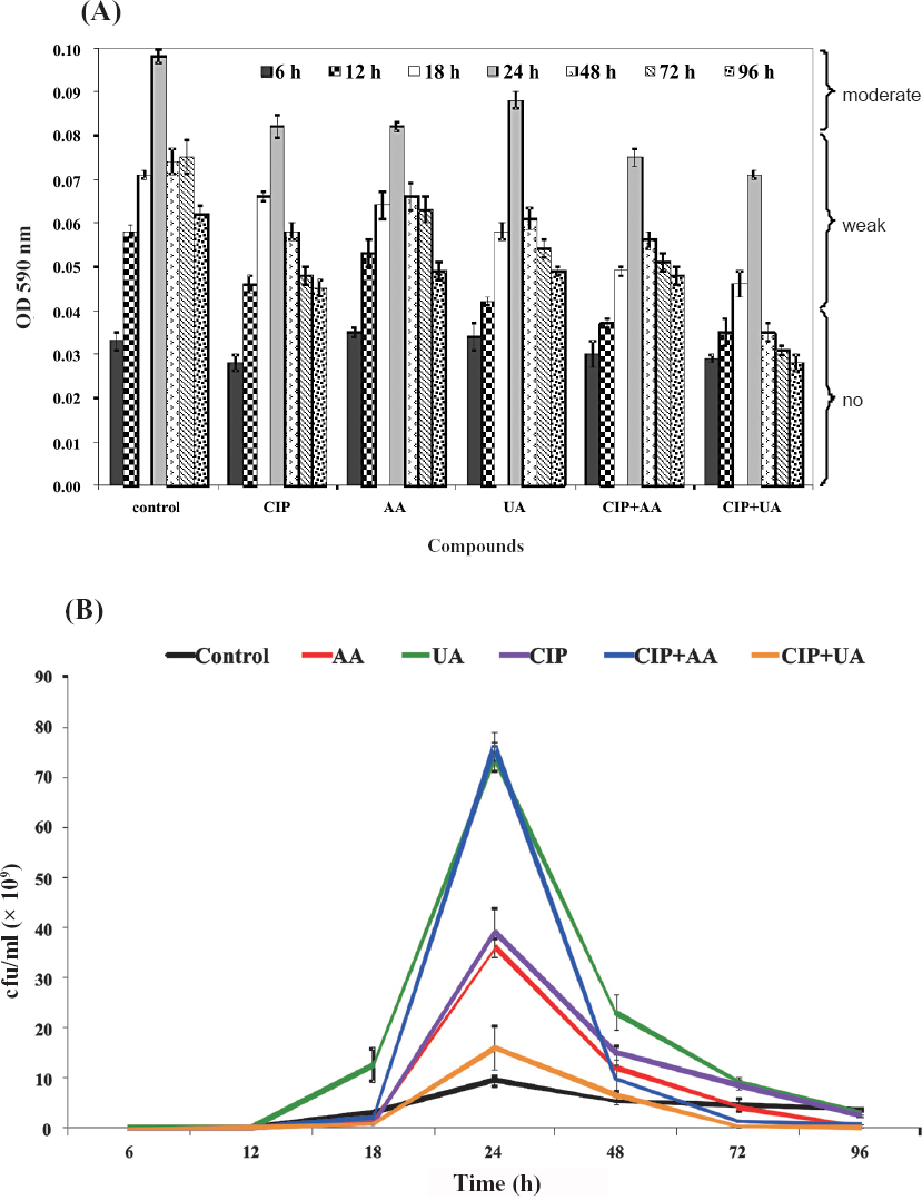 Biofilm production (A) and bacterial survival (B) on microtitre plates. Values represent the mean ±SD for ten clinical UPECs. CIP, ciprofloxacin; AA, asiatic acid; UA, ursolic acid. *P≤ 0.05 compared with control.