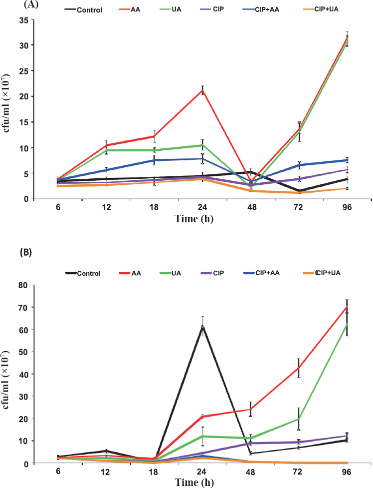 Bacterial survival in biofilm produced on urinary catheters by clinical UPECs (A) and CFT073 (B). Values shown in Fig. 5A are the mean ±SD for 10 UPECs. Values shown in Fig. 5B are the mean ±SD of three separate experiments for CFT073. CIP, ciprofloxacin; AA, asiatic acid; UA, ursolic acid.