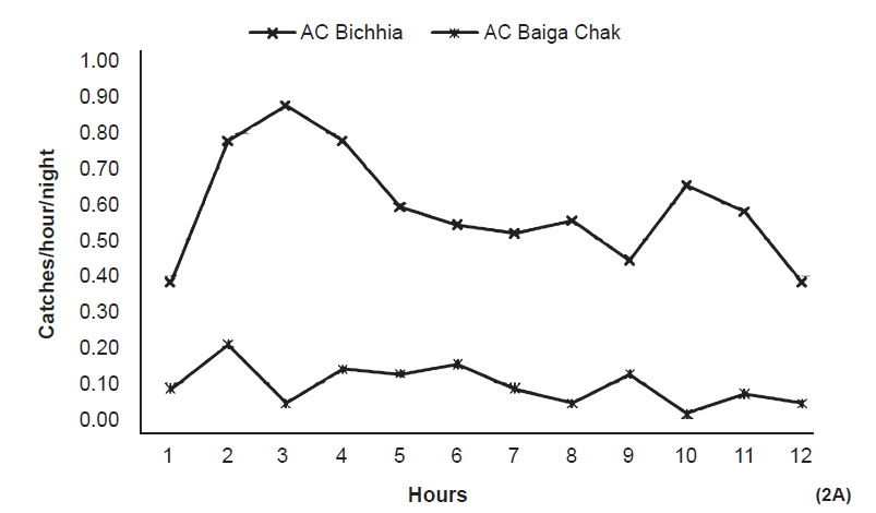 Catches of An. culicifacies (AC) on animal bait (per night/hour) in the study area (12 hours from 1800 to 0600).